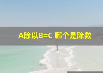 A除以B=C 哪个是除数